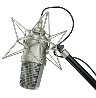 Mic